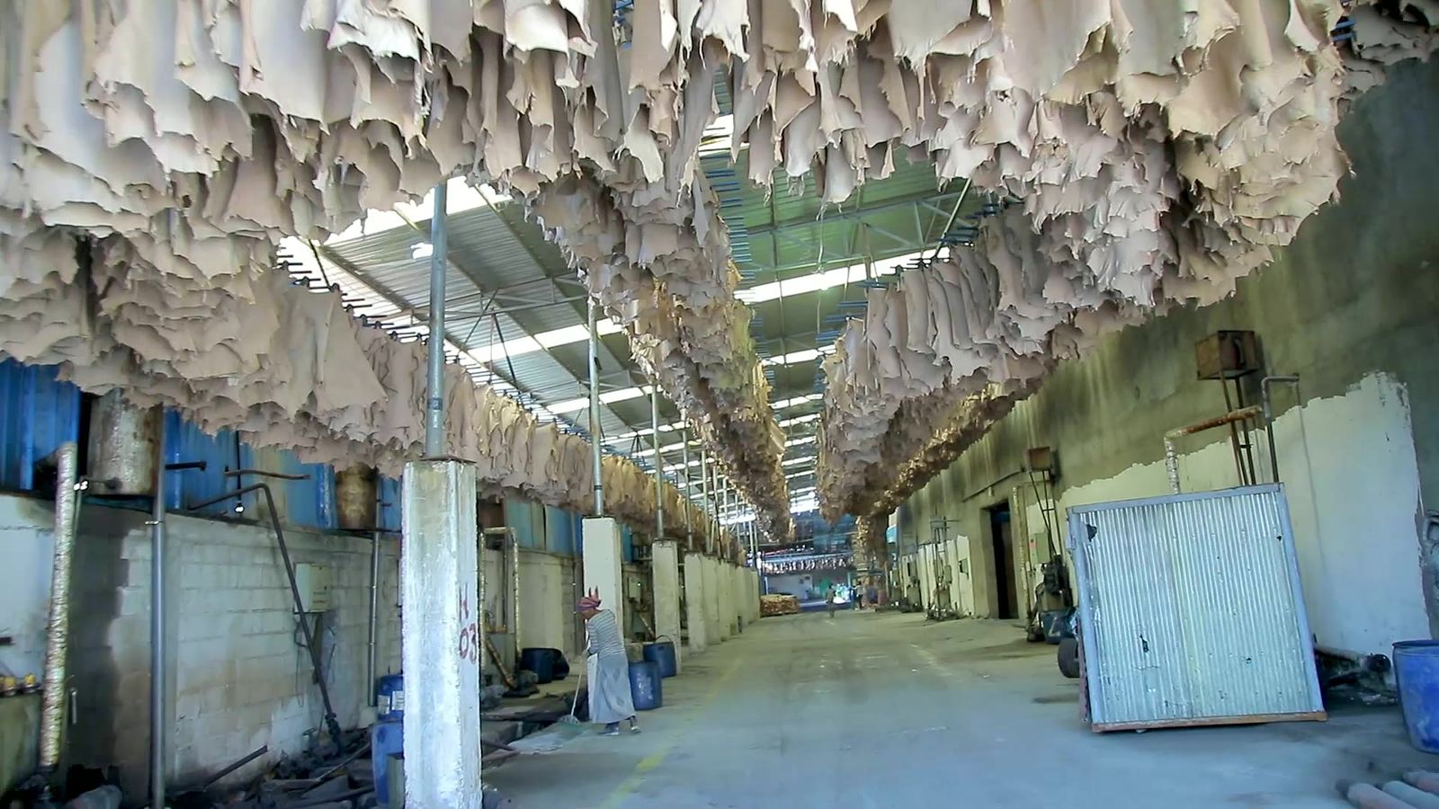Crust leather drying on overhead lines in the hall at Friendship Tannery, Modjo